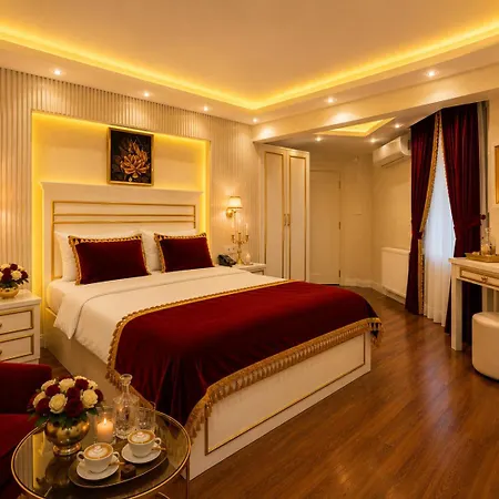 Ayasofya 호텔 4*