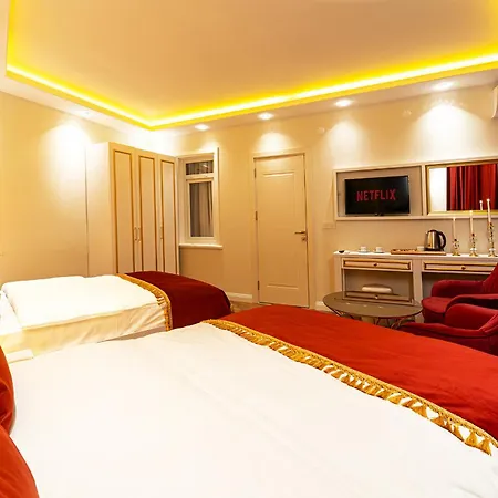 Отель Ayasofya 4*